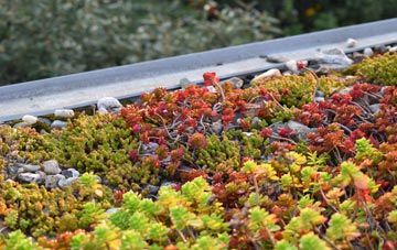 the cost of Dinas Mawddwy green roof installation