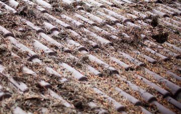 Dinas Mawddwy roof cleaning companies