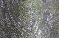 Dinas Mawddwy fibreglass roof work